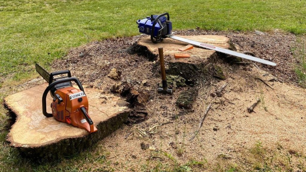 Stump Grinding Project Gallery Before And After Stump Grinding Pictures