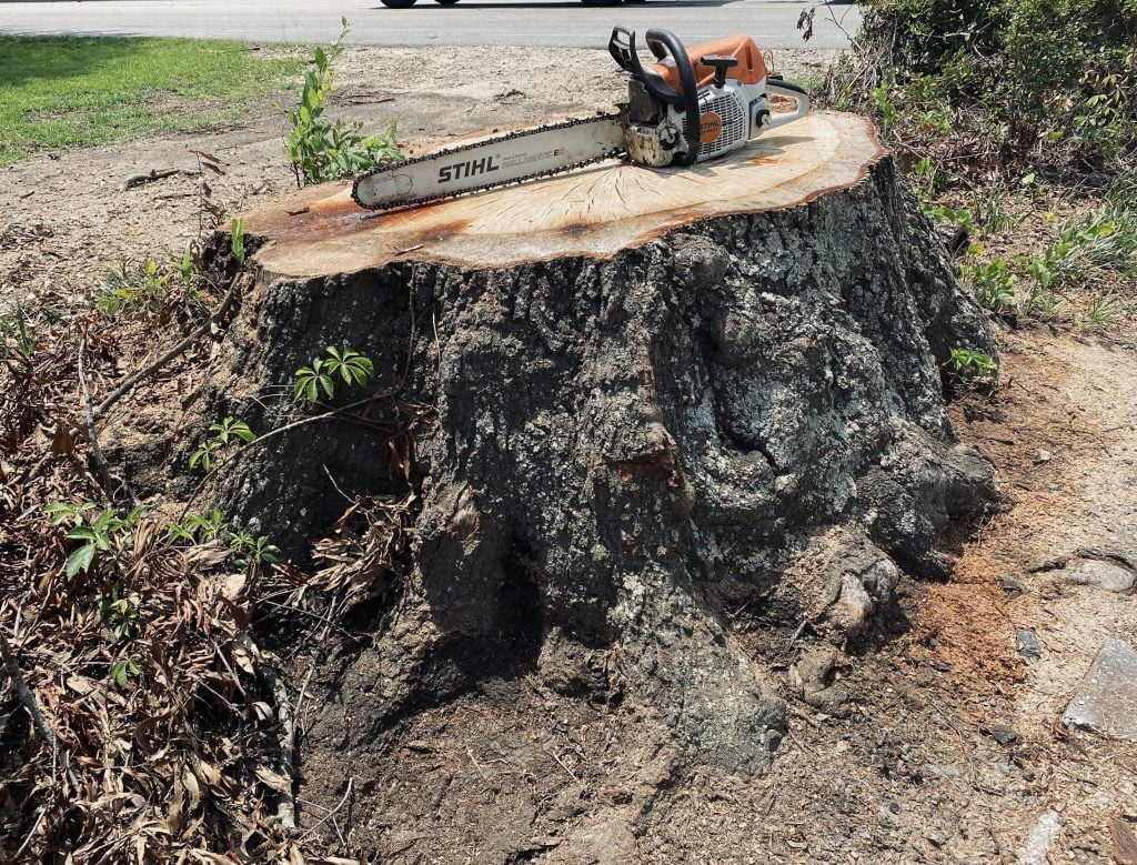 Dunn NC Stump Grinding