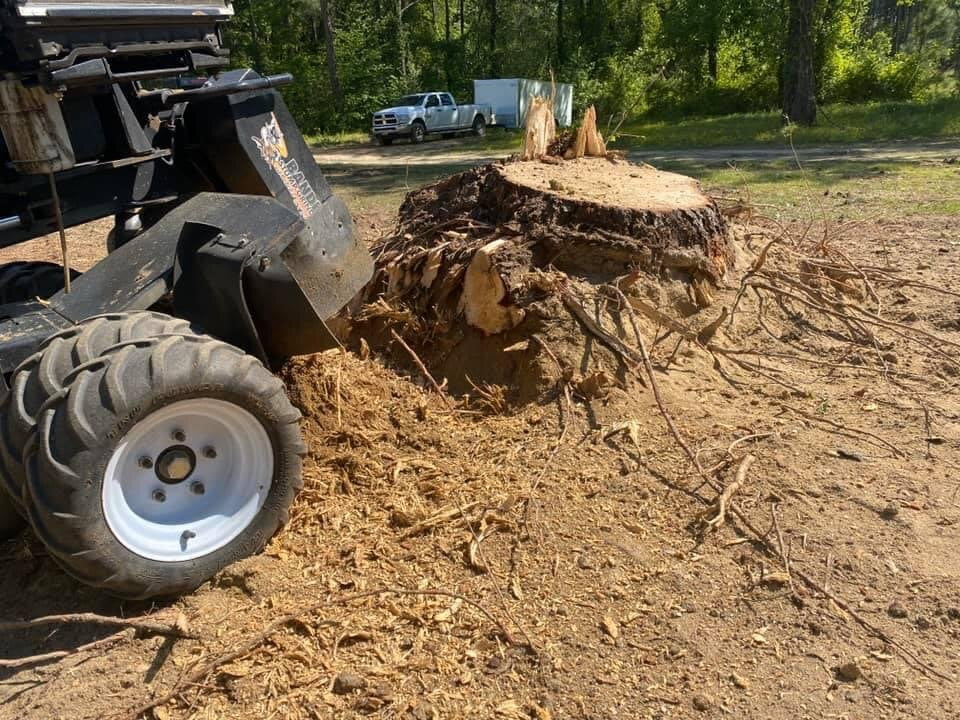 Clayton Lot Clearing Stump Grinding