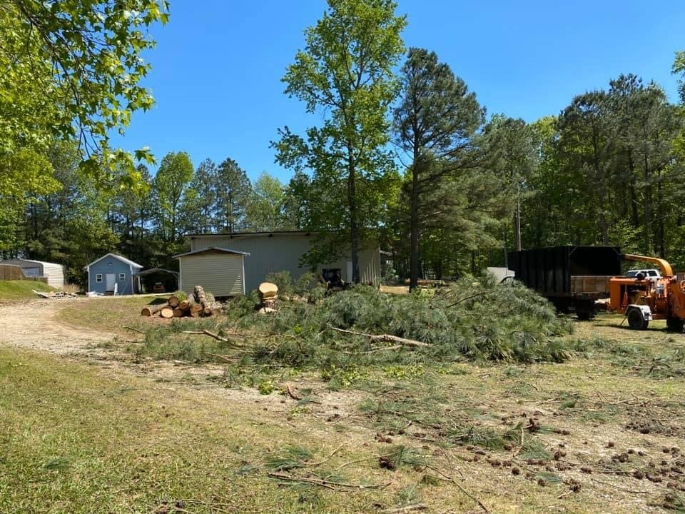 Clayton Lot Clearing Tree Removal