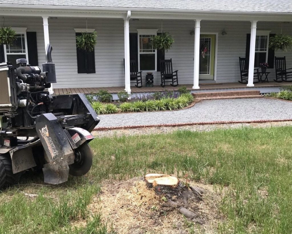 Should you hire a Stump Grinding professional Machine