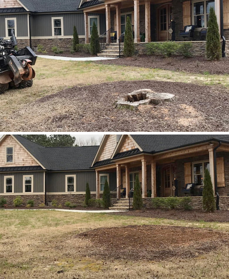 NC Stump Grinding Before and After