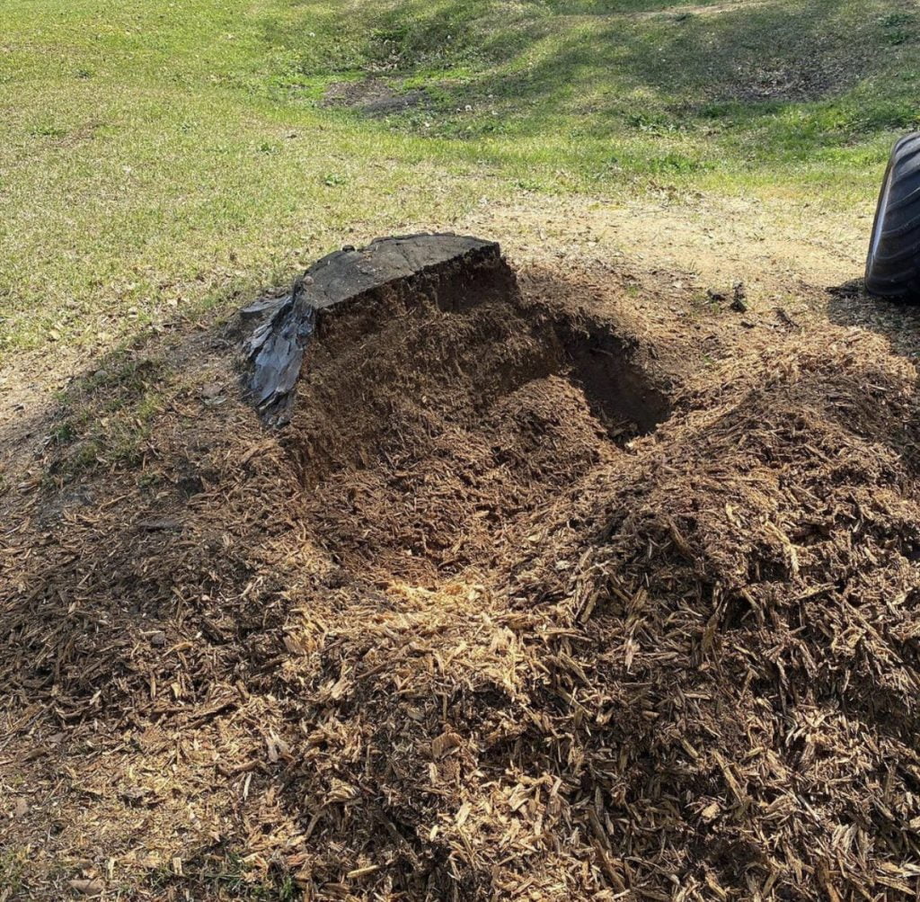 Dunn Stump Grinding in Process