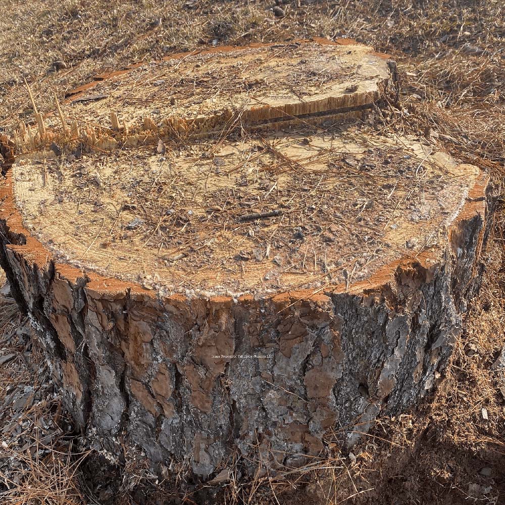 How much does stump grinding cost?