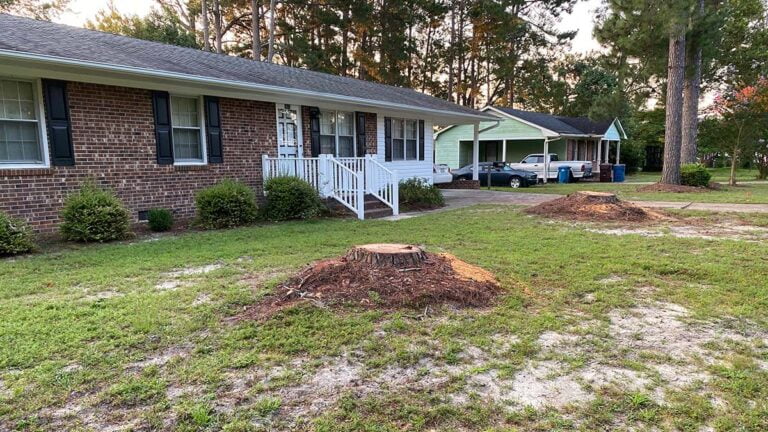 Harnett County NC Stump Grinding